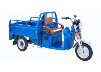 electric-cargo-rickshaw-1000x1000